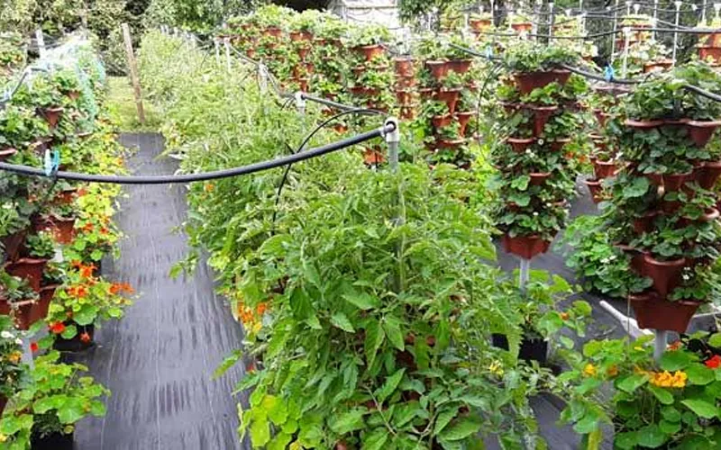 General Hydroponics