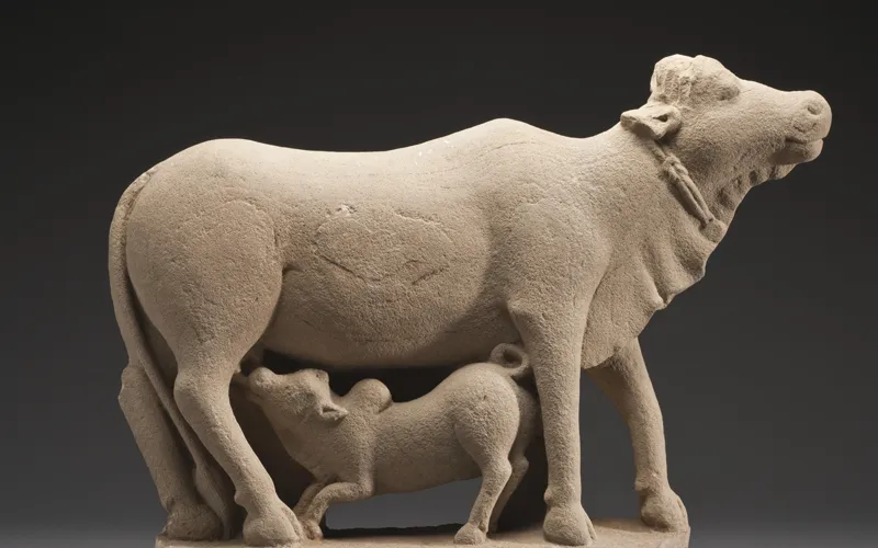 sacred cow